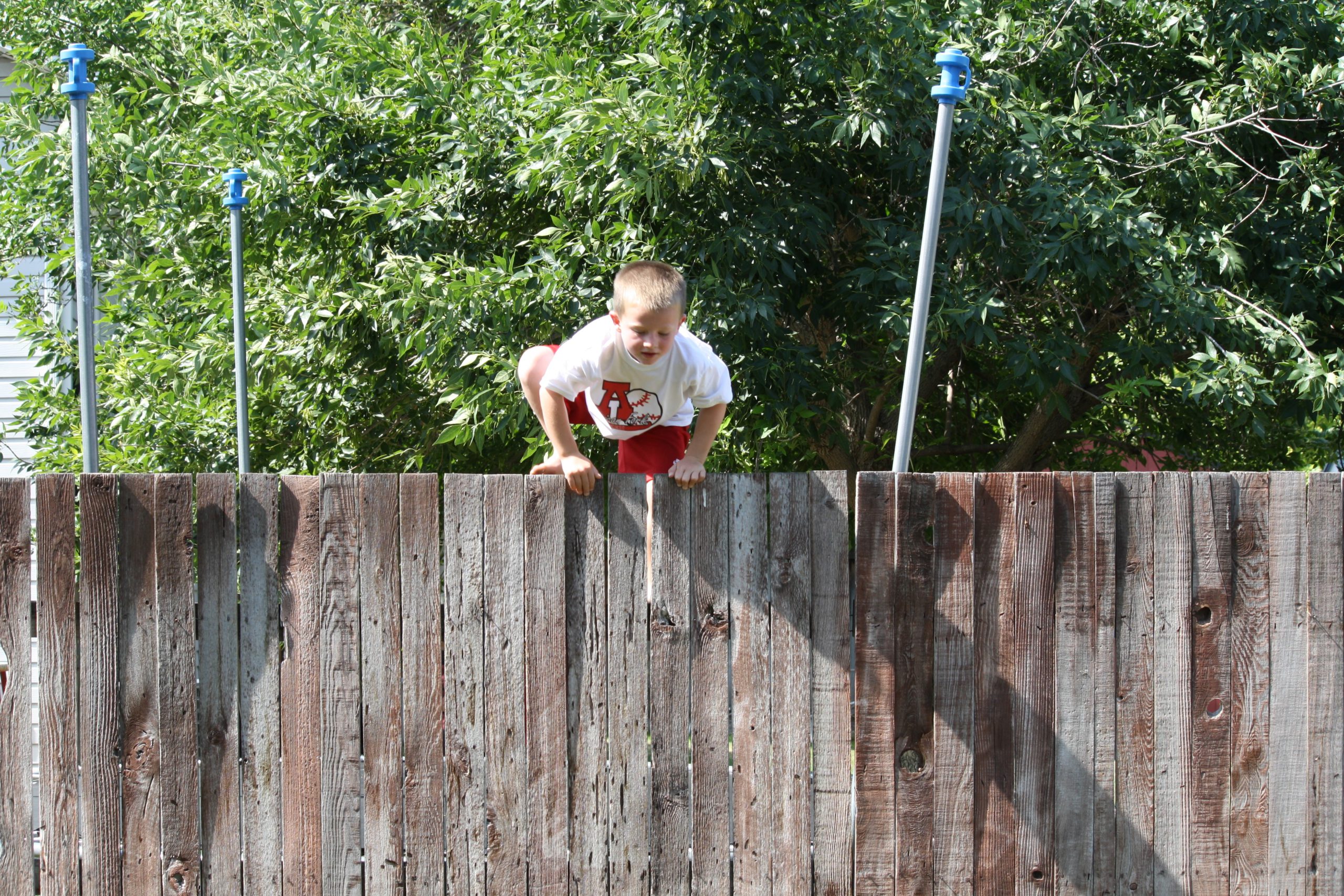 Spencer Fence Jump