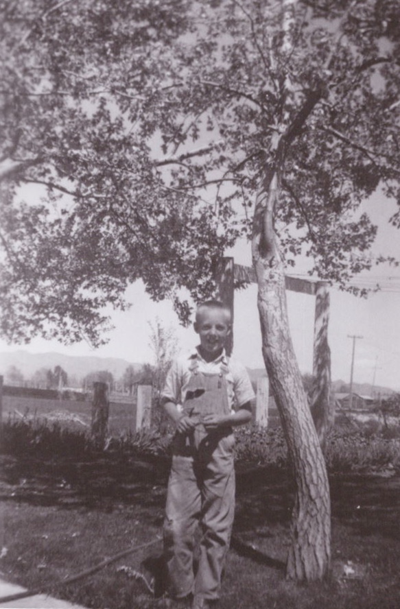 Barton Under Tree 2