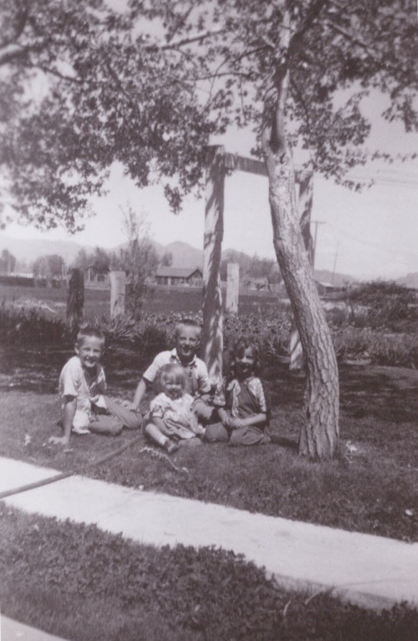 Barton Under Tree