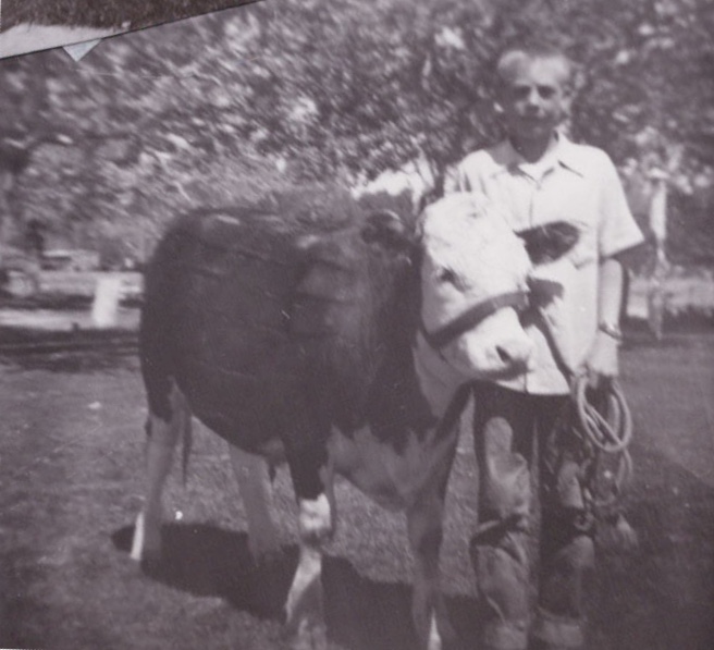 Barton and His Cow